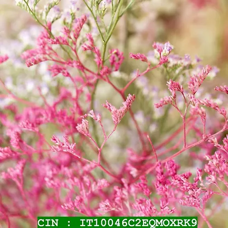 La Merella Будинок відпочинку Рапалло